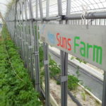<b>ちょっと変わった福利厚生をご紹介！</b><br>ネオスの農園「NeoSuns Farm」旬のお野菜がもらえます！