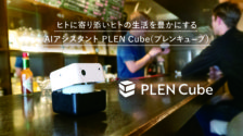 PLENCube